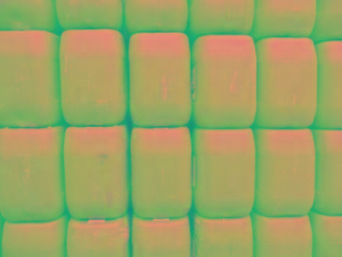 ��Ȫ����-�Ĵ���ˮ�ֻ�������ˮ